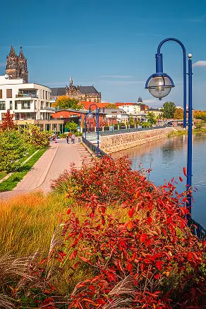 Herbstlich gefärbte Uferpromenade mit moderner Bebauung, Blick auf den Magdeburger Dom im Hintergrund und Laternen entlang des Weges