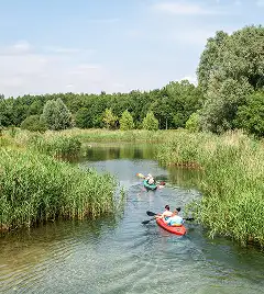 Zwei Kajaks mit jeweils zwei Personen paddeln gemütlich durch einen schmalen, natürlichen Wasserlauf, der von dichtem Schilf und grüner Vegetation gesäumt ist.
